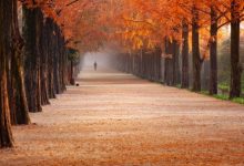 WEB应用程序安全加固方案