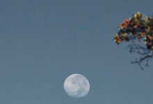 CentOS6.9升级Httpd2.4和PHP5.6版本